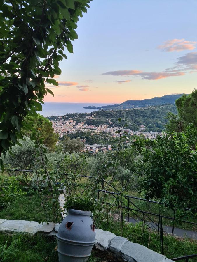 Vista Mare Portofino By Portofinovacanze Gravero Bagian luar foto